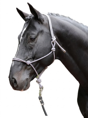 Cabezada Caballos nudos pony Navy/beige